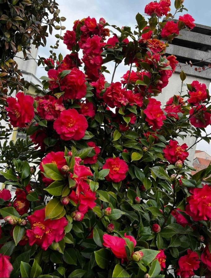 Giresio 41 - Your Penthouse With Rooftop Garden In Milano Navigli - Wifi Екстер'єр фото